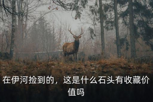 洛陽伊河哪里能撿到大的石頭,在伊河撿到的