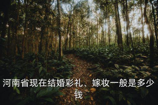 河南省現(xiàn)在結(jié)婚彩禮、嫁妝一般是多少錢