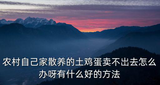農村自己家散養的土雞蛋賣不岀去怎么辦呀有什么好的方法
