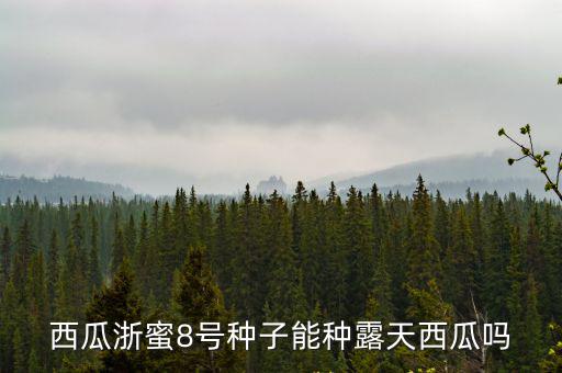 河南慶發種業西瓜種子怎么樣,如何選擇西瓜種子