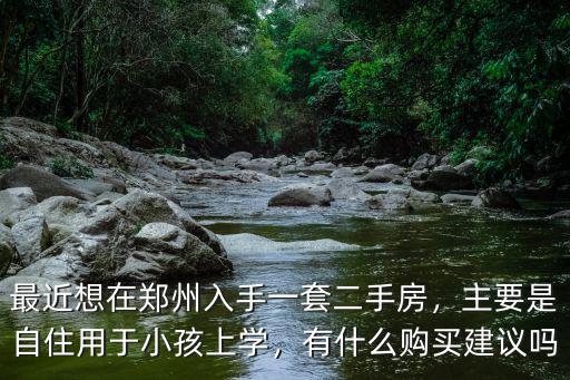 最近想在鄭州入手一套二手房，主要是自住用于小孩上學(xué)，有什么購買建議嗎