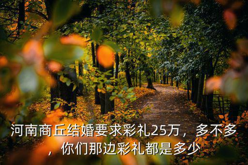 河南商丘結(jié)婚要求彩禮25萬(wàn)，多不多，你們那邊彩禮都是多少