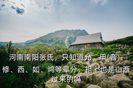 河南南陽張豐偉怎么樣,河南南陽張氏