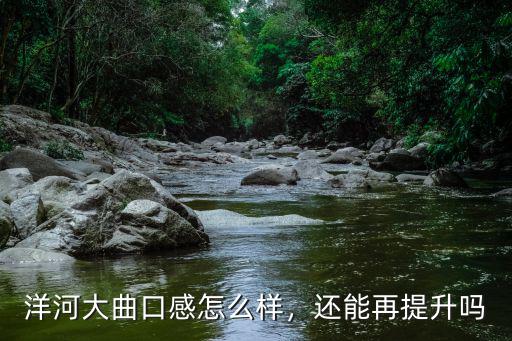 洋河大曲口感怎么樣，還能再提升嗎