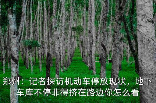 鄭州：記者探訪機動車停放現狀，地下車庫不停非得擠在路邊你怎么看
