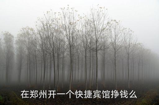 在鄭州小區開賓館怎么樣,在鄭州開一個快捷賓館掙錢么