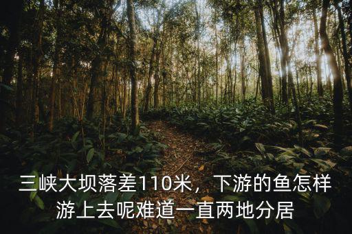 三峽大壩落差110米，下游的魚怎樣游上去呢難道一直兩地分居