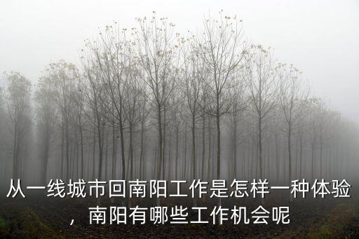 從一線城市回南陽工作是怎樣一種體驗，南陽有哪些工作機會呢
