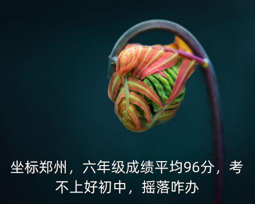 坐標鄭州，六年級成績平均96分，考不上好初中，搖落咋辦