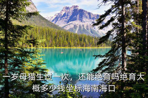 鄭州母貓絕育費用多少,給母貓做絕育要花多少錢