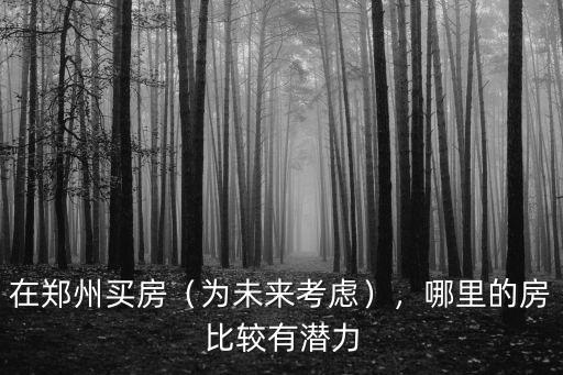在鄭州買房（為未來考慮），哪里的房比較有潛力