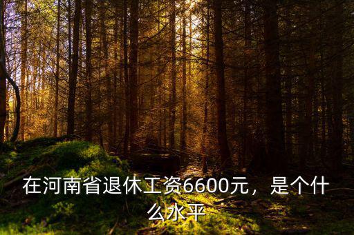 在河南省退休工資6600元，是個什么水平