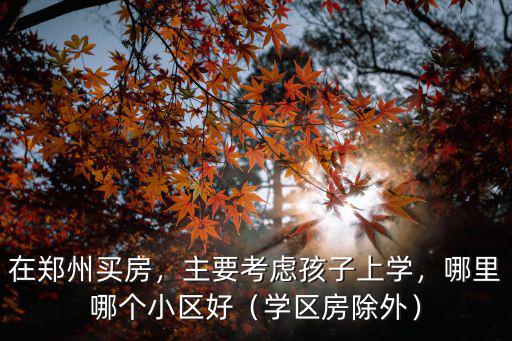 在鄭州買房，主要考慮孩子上學，哪里哪個小區好（學區房除外）