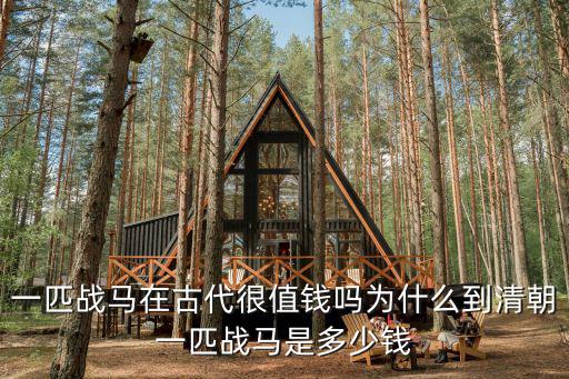 一匹戰馬在古代很值錢嗎為什么到清朝一匹戰馬是多少錢