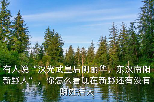 河南南陽新野多少人,東漢南陽新野人