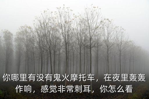 你哪里有沒有鬼火摩托車，在夜里轟轟作響，感覺非常刺耳，你怎么看