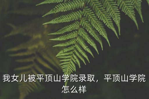 河南平頂山第三十加油站怎么樣,平頂山學院怎么樣