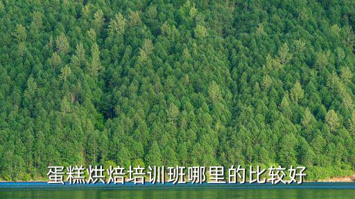 焦作哪里有學做蛋糕培訓的,蛋糕烘焙培訓班哪里的比較好