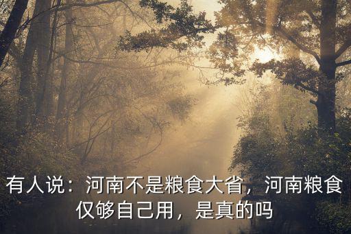 有人說：河南不是糧食大省，河南糧食僅夠自己用，是真的嗎