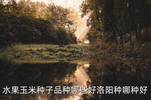 洛陽哪里賣玉米種子,水果玉米種子品種哪些好