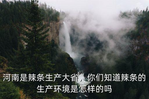 河南是辣條生產大省，你們知道辣條的生產環境是怎樣的嗎