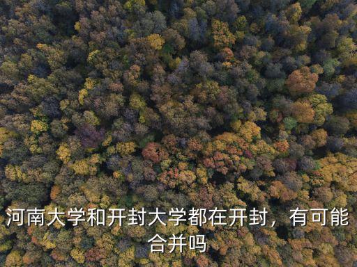 河南大學和開封大學都在開封，有可能合并嗎