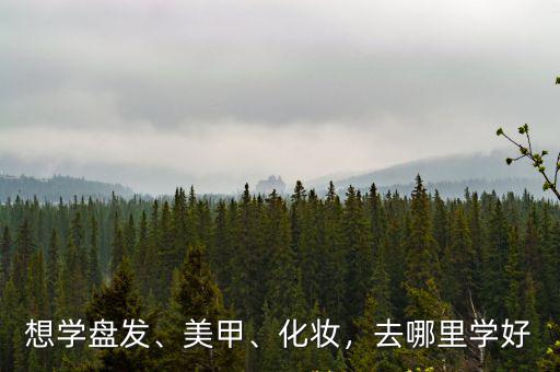 想學盤發、美甲、化妝，去哪里學好