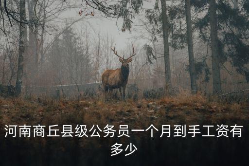 河南商丘縣級公務(wù)員一個(gè)月到手工資有多少