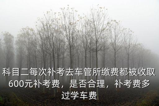 河南科四多少錢補考費,補考費每次交了多少錢