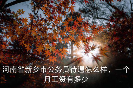 新鄉市教師工資多少,河南中小學教師工資有多少