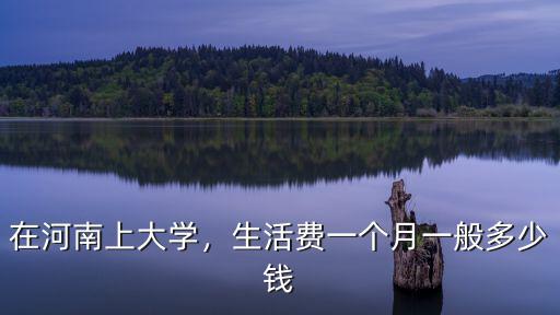 在河南上大學，生活費一個月一般多少錢