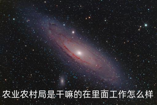 農業農村局是干嘛的在里面工作怎么樣