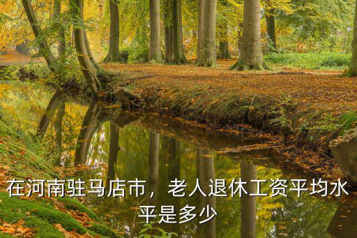 在河南駐馬店市，老人退休工資平均水平是多少