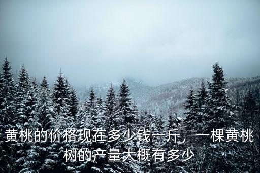 開封黃桃批發多少錢一斤,黃桃的價格現在多少錢一斤