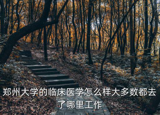 找鄭州醫院服務工作怎么樣,醫學院畢業生要自己找工作嗎