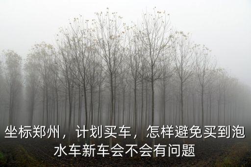 坐標鄭州，計劃買車，怎樣避免買到泡水車新車會不會有問題
