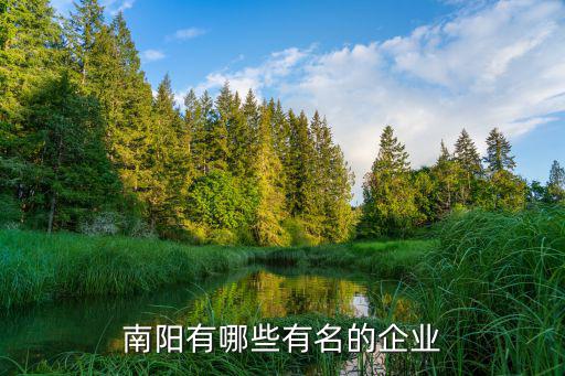 南陽市哪里有帽子的,南陽有哪些有名的企業(yè)