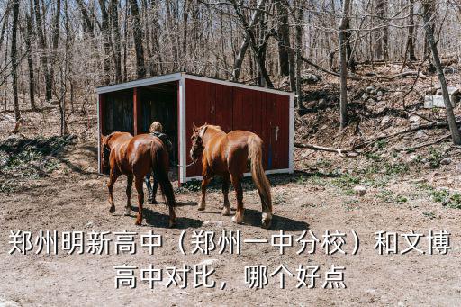 鄭州桐柏一中的伙食怎么樣,鄭州一中分校