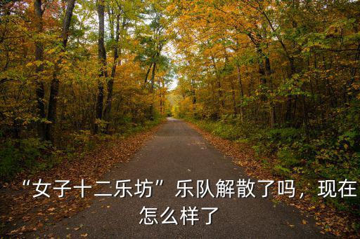 漯河女子十二樂坊在哪里,如何評價女子十二樂坊的音樂