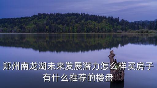鄭州南龍湖買商鋪怎么樣呢,龍湖地產進入鄭州南龍湖