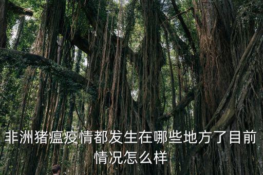 非洲豬瘟疫情都發生在哪些地方了目前情況怎么樣