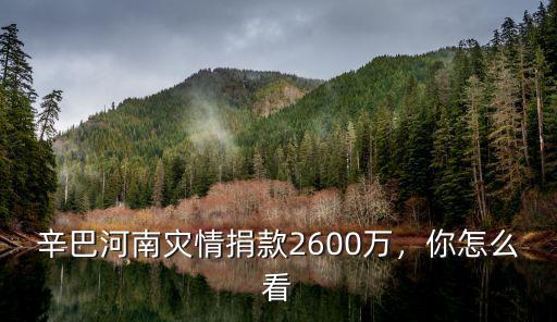 辛巴河南災(zāi)情捐款2600萬，你怎么看