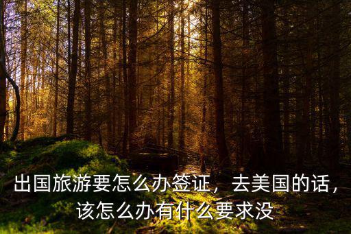 出國旅游要怎么辦簽證，去美國的話，該怎么辦有什么要求沒