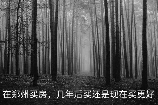 在鄭州買房，幾年后買還是現(xiàn)在買更好