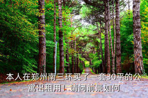 本人在鄭州南三環(huán)買了一套30平的公寓出租用！請問前景如何