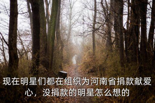 現在明星們都在組織為河南省捐款獻愛心，沒捐款的明星怎么想的
