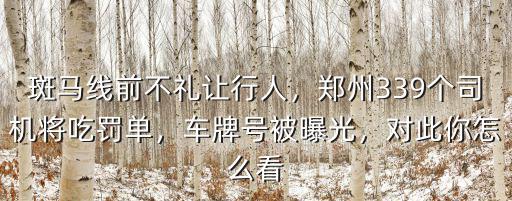斑馬線前不禮讓行人，鄭州339個司機將吃罰單，車牌號被曝光，對此你怎么看