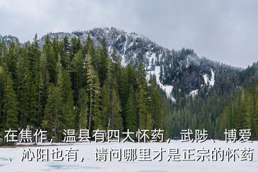 焦作哪里能買到正宗皮草,哪里皮草最便宜
