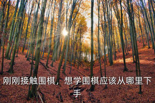 剛剛接觸圍棋，想學圍棋應該從哪里下手