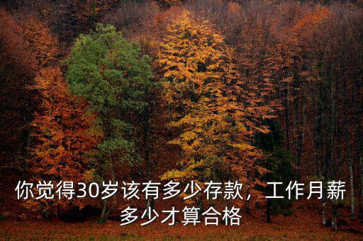 你覺得30歲該有多少存款，工作月薪多少才算合格